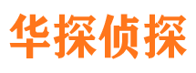 仓山市调查公司